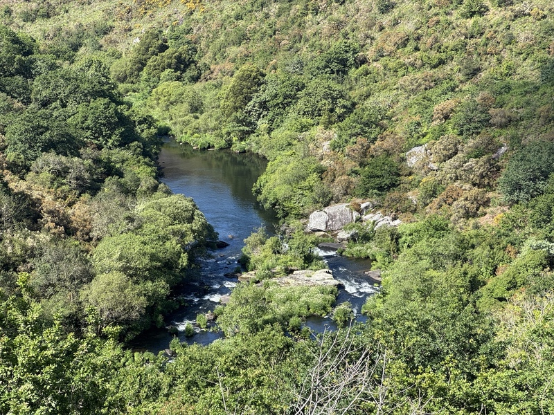 A peaceful river winding through the lush Galician landscape – one of many quiet moments along the Camino that reminded me why I chose to walk.